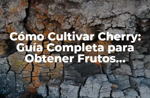 Cómo Cultivar Cherry: Guía Completa para Obtener Frutos Deliciosos