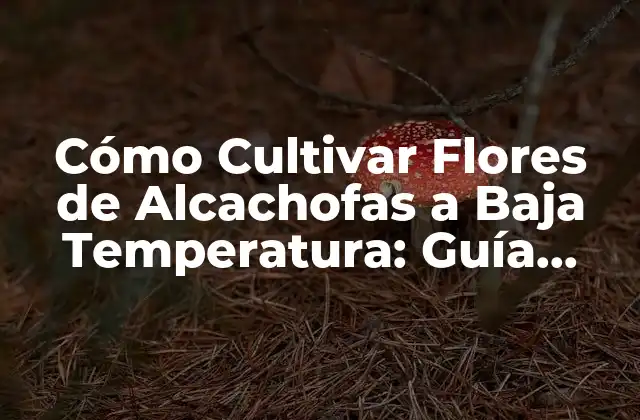 Cómo Cultivar Flores de Alcachofas a Baja Temperatura: Guía Completa