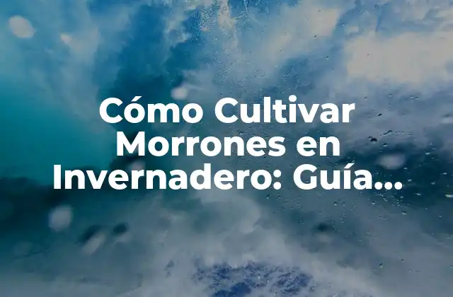 Cómo Cultivar Morrones en Invernadero: Guía Completa y Detallada