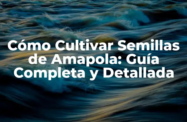Cómo Cultivar Semillas de Amapola: Guía Completa y Detallada