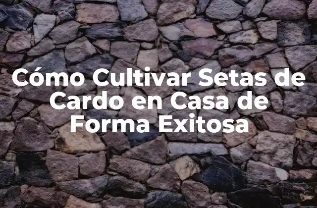 Cómo Cultivar Setas de Cardo en Casa de Forma Exitosa 2 ¿Qué son las Setas de Cardo y Cuáles son sus Beneficios?