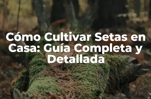 Cómo Cultivar Setas en Casa: Guía Completa y Detallada