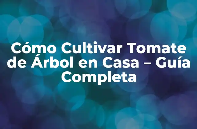Cómo Cultivar Tomate de Árbol en Casa - Guía Completa 2 Requisitos para Cultivar Tomate de Árbol en Casa