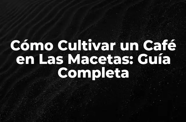 Cómo Cultivar un Café en las Macetas: Guía Completa