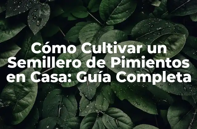 Cómo Cultivar un Semillero de Pimientos en Casa: Guía Completa