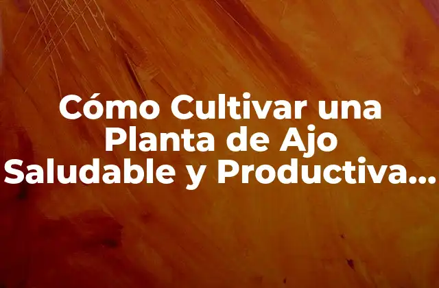 Cómo Cultivar una Planta de Ajo Saludable y Productiva en Casa