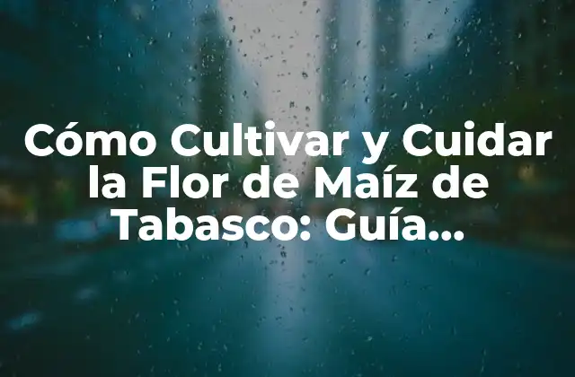 Cómo Cultivar y Cuidar la Flor de Maíz de Tabasco: Guía Completa 2 Orígenes y Características de la Flor de Maíz de Tabasco