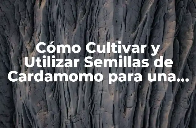 Cómo Cultivar y Utilizar Semillas de Cardamomo para una Salud y Bienestar Óptimos