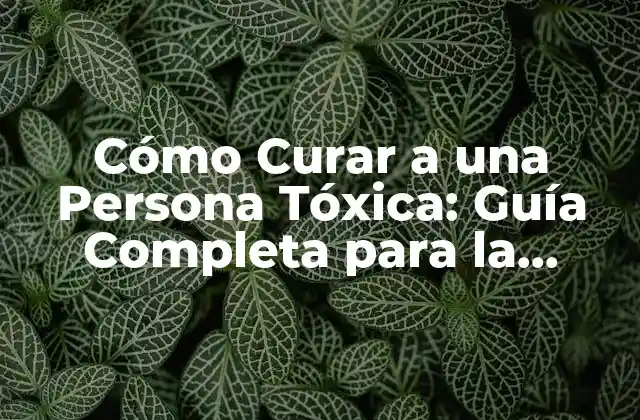 Cómo Curar a una Persona Tóxica: Guía Completa para la Sanación Emocional