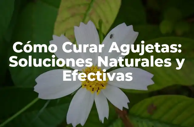 Cómo Curar Agujetas: Soluciones Naturales y Efectivas
