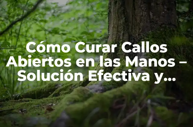 Cómo Curar Callos Abiertos en las Manos - Solución Efectiva y Segura 2 Causas de los Callos Abiertos en las Manos