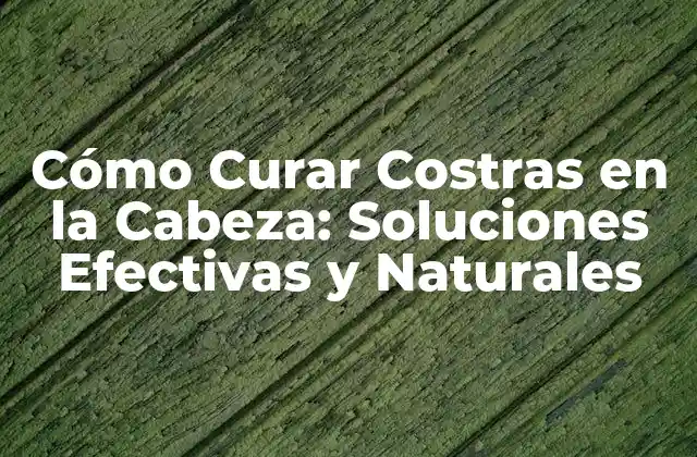 Cómo Curar Costras en la Cabeza: Soluciones Efectivas y Naturales