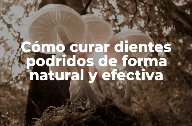 Cómo Curar Dientes Podridos de Forma Natural y Efectiva