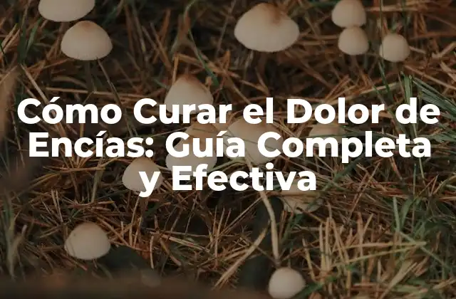 Cómo Curar el Dolor de Encías: Guía Completa y Efectiva