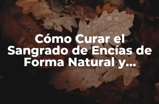 Cómo Curar el Sangrado de Encías de Forma Natural y Efectiva