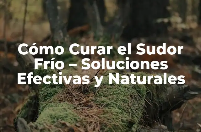 Cómo Curar el Sudor Frío – Soluciones Efectivas y Naturales