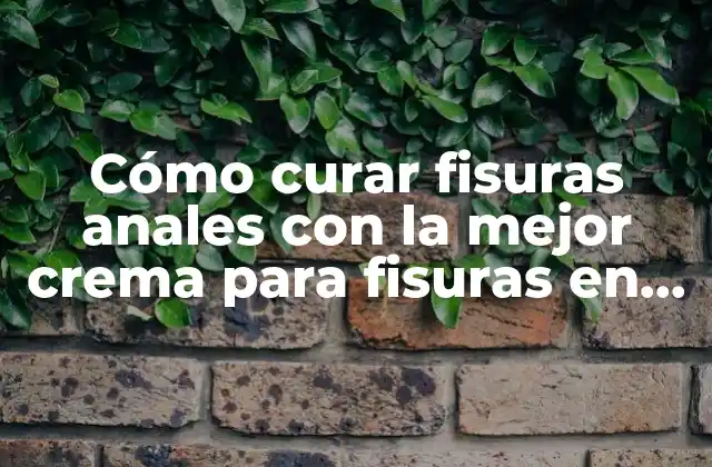Cómo Curar Fisuras Anales con la Mejor Crema para Fisuras en el Ano