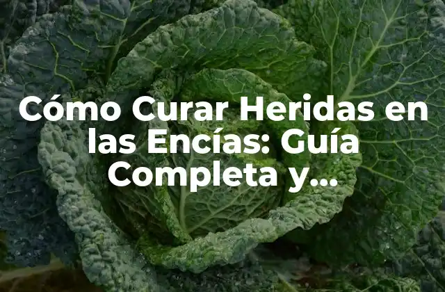 Cómo Curar Heridas en las Encías: Guía Completa y Actualizada