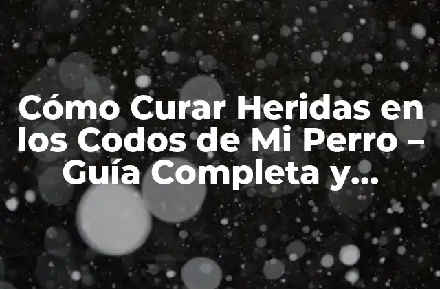 Cómo Curar Heridas en los Codos de Mi Perro – Guía Completa y Detallada