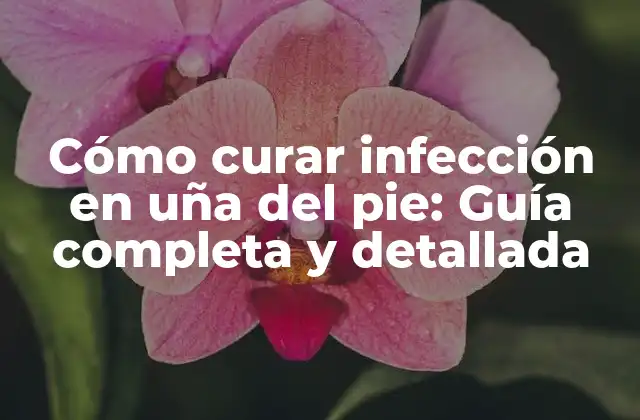 Cómo Curar Infección en Uña Del Pie: Guía Completa y Detallada