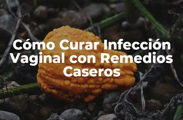 Cómo Curar Infección Vaginal con Remedios Caseros 2 Causas de la Infección Vaginal