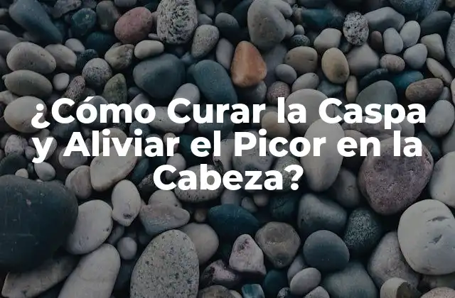 ¿cómo Curar la Caspa y Aliviar el Picor en la Cabeza?