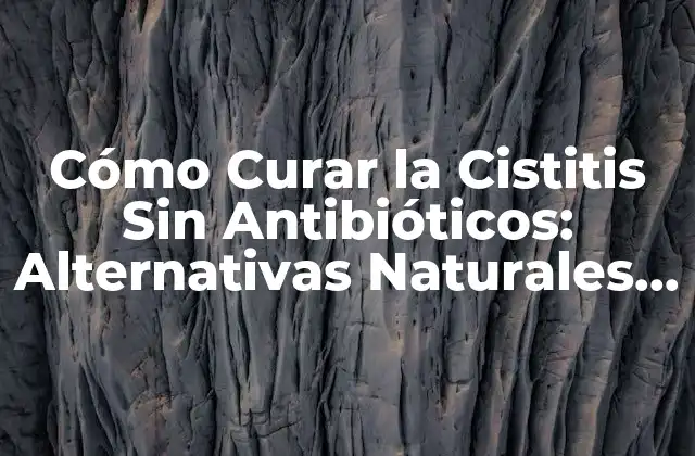 Cómo Curar la Cistitis sin Antibióticos: Alternativas Naturales y Efectivas