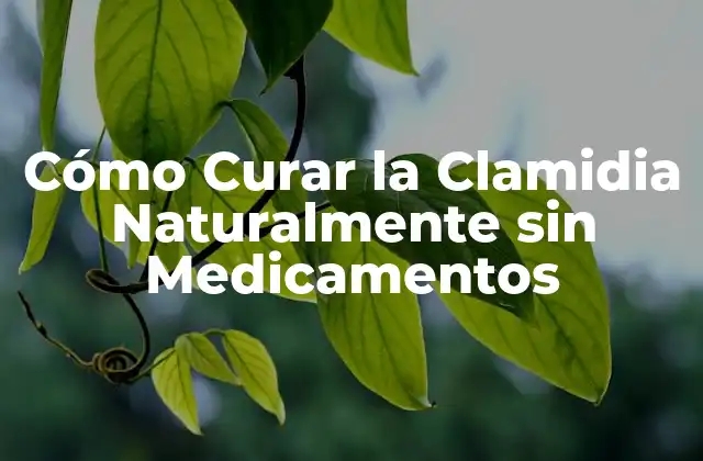 Cómo Curar la Clamidia Naturalmente sin Medicamentos