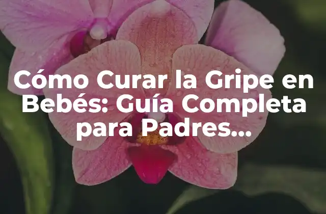 Cómo Curar la Gripe en Bebés: Guía Completa para Padres Preocupados
