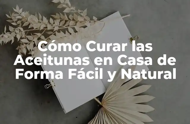 Cómo Curar las Aceitunas en Casa de Forma Fácil y Natural