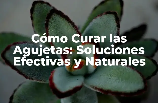 Cómo Curar las Agujetas: Soluciones Efectivas y Naturales