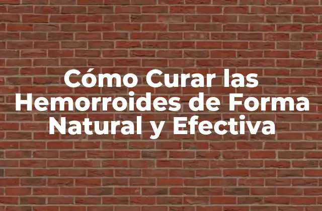Cómo Curar las Hemorroides de Forma Natural y Efectiva 2 ¿Cuáles son las Causas de las Hemorroides?
