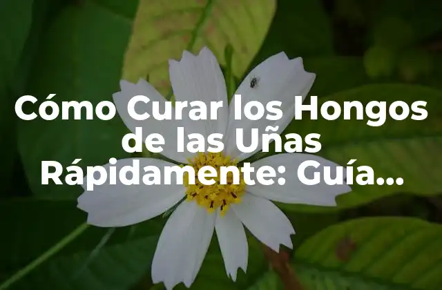 Cómo Curar los Hongos de las Uñas Rápidamente: Guía Completa