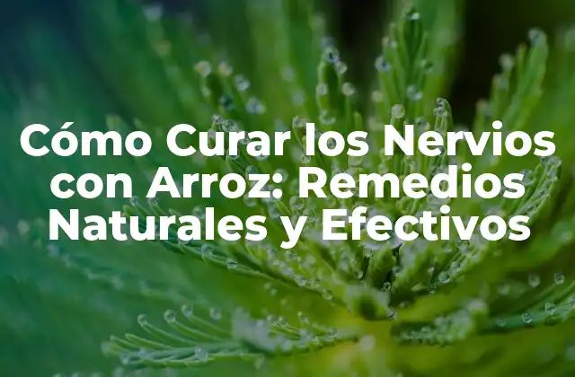 Los Beneficios del Arroz para la Salud Mental