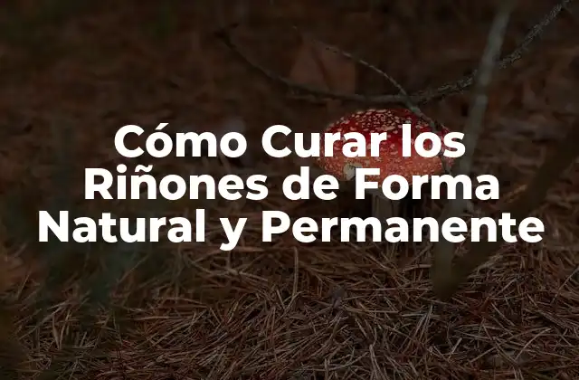 Cómo Curar los Riñones de Forma Natural y Permanente