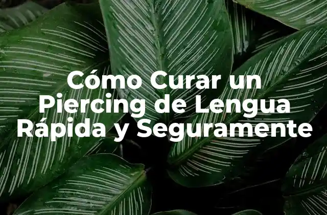 Preparación para la Curación del Piercing de Lengua