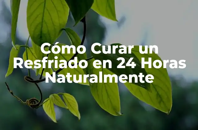 Cómo Curar un Resfriado en 24 Horas Naturalmente