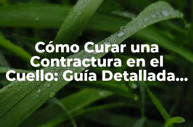 Cómo Curar una Contractura en el Cuello: Guía Detallada y Completa