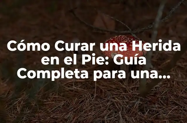 Cómo Curar una Herida en el Pie: Guía Completa para una Recuperación Rápida y Segura