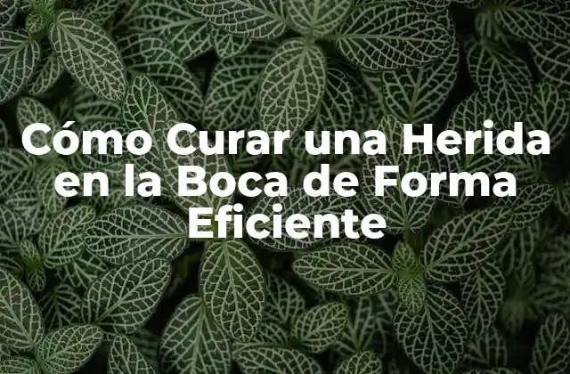 Cómo Curar una Herida en la Boca de Forma Eficiente