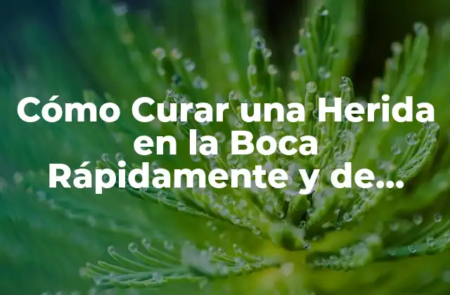 ¿Cuáles son los Síntomas de una Herida en la Boca?