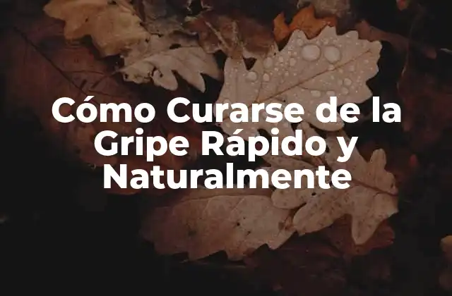 Cómo Curarse de la Gripe Rápido y Naturalmente