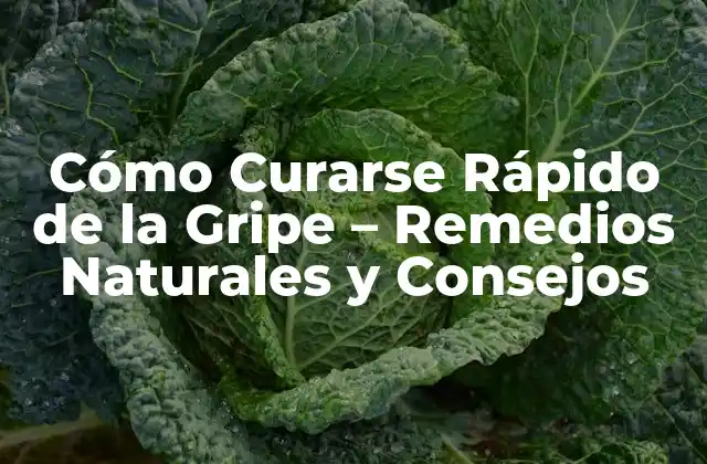 Cómo Curarse Rápido de la Gripe – Remedios Naturales y Consejos