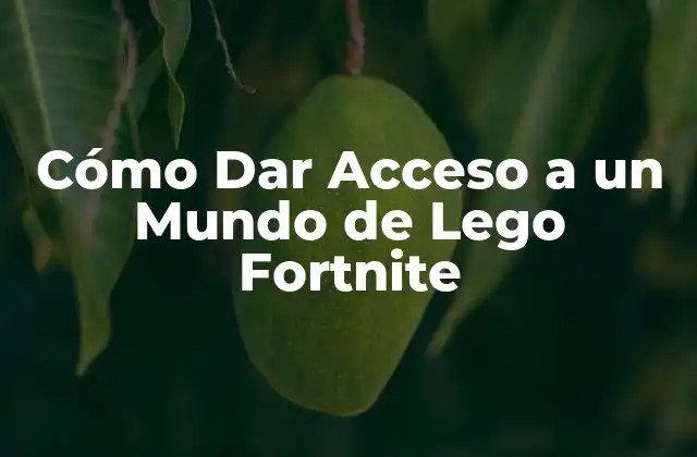 Cómo Dar Acceso a un Mundo de Lego Fortnite 2 ¿Qué es Lego Fortnite y por qué es tan popular?