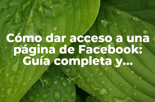 Cómo Dar Acceso a una Página de Facebook: Guía Completa y Actualizada