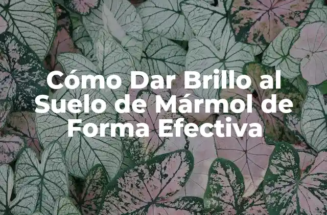 Cómo Dar Brillo Al Suelo de Mármol de Forma Efectiva