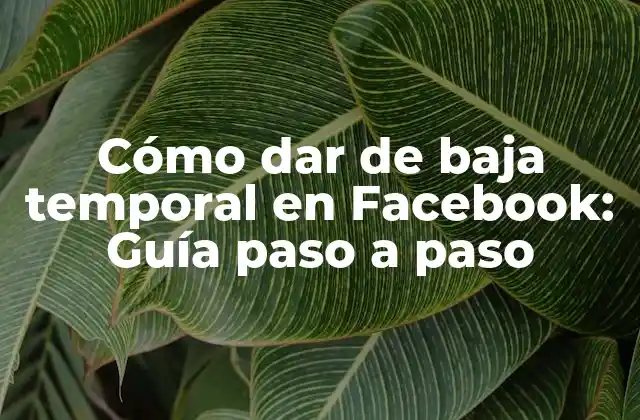 Cómo Dar de Baja Temporal en Facebook: Guía Paso a Paso