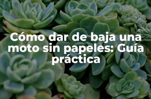 Cómo Dar de Baja una Moto sin Papeles: Guía Práctica