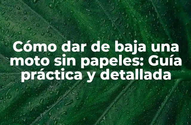 Cómo Dar de Baja una Moto sin Papeles: Guía Práctica y Detallada