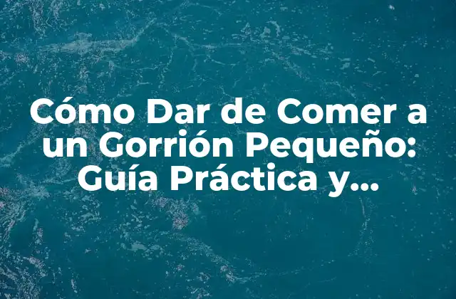 ¿Cuántas Veces Debe Comer un Gorrión Pequeño al Día?